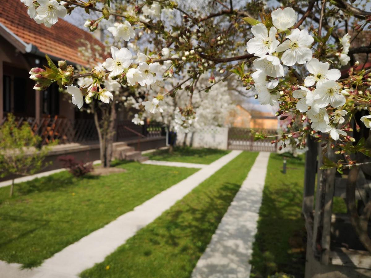 Turul -Kuca Za Odmor- Apartment Korod Luaran gambar