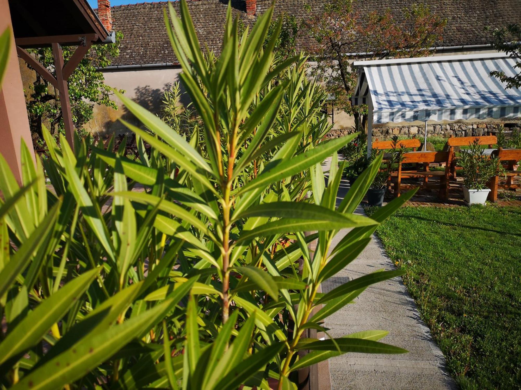 Turul -Kuca Za Odmor- Apartment Korod Bilik gambar
